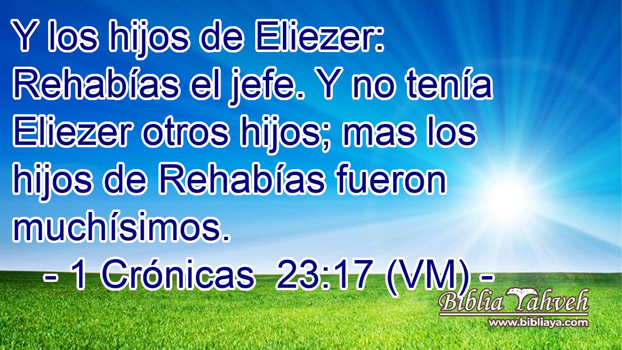  Y los hijos de Eliezer: Rehabías el jefe. Y no tenía Eliezer otros hijos; mas los hijos de Rehabías fueron muchísimos. 