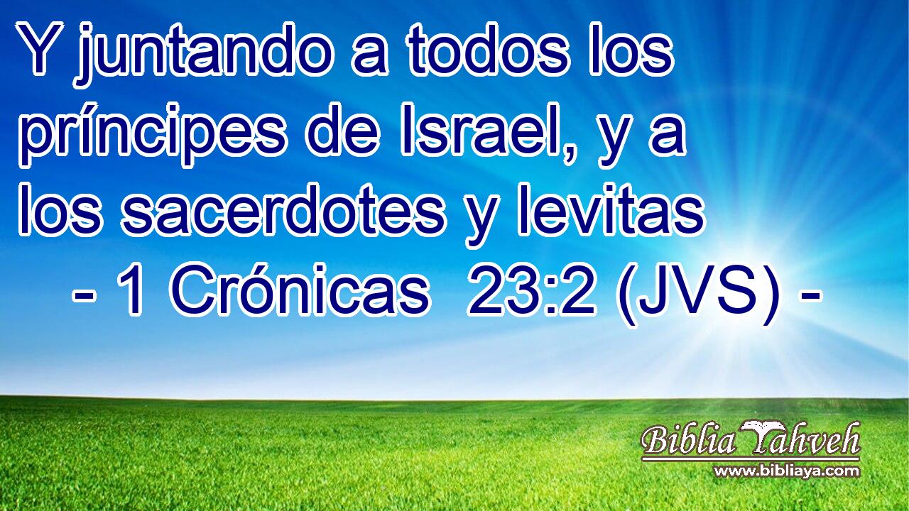 Y juntando a todos los príncipes de Israel, y a los sacerdotes y levitas