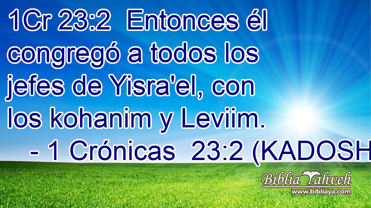  Entonces él congregó a todos los jefes de Yisra'el, con los kohanim y Leviim. 