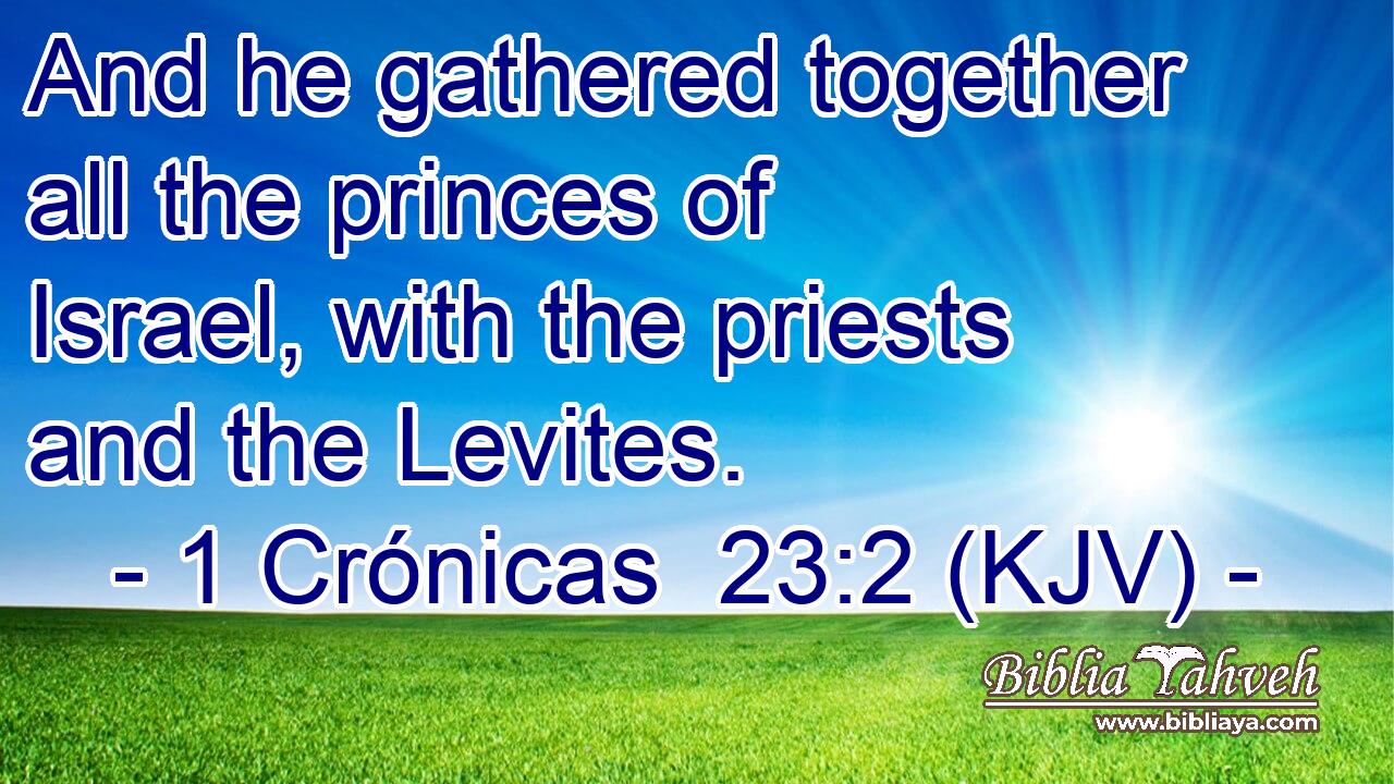 And he gathered together all the princes of Israel, with the priests and the Levites.