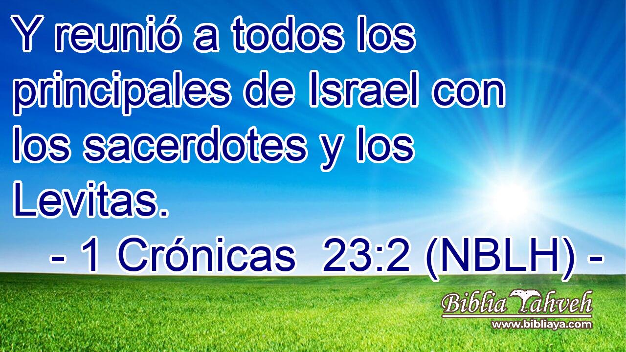  Y reunió a todos los principales de Israel con los sacerdotes y los Levitas. 