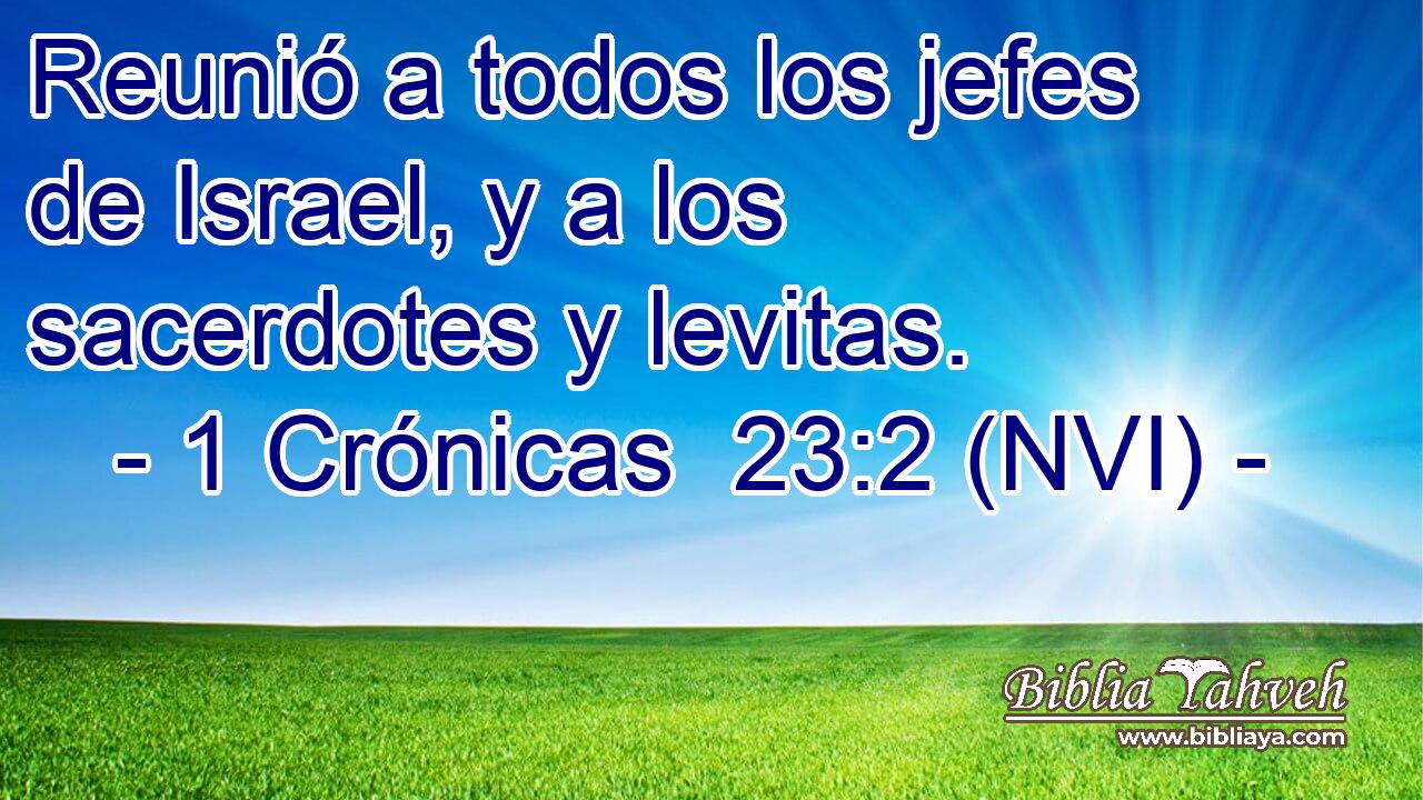  Reunió a todos los jefes de Israel, y a los sacerdotes y levitas. 