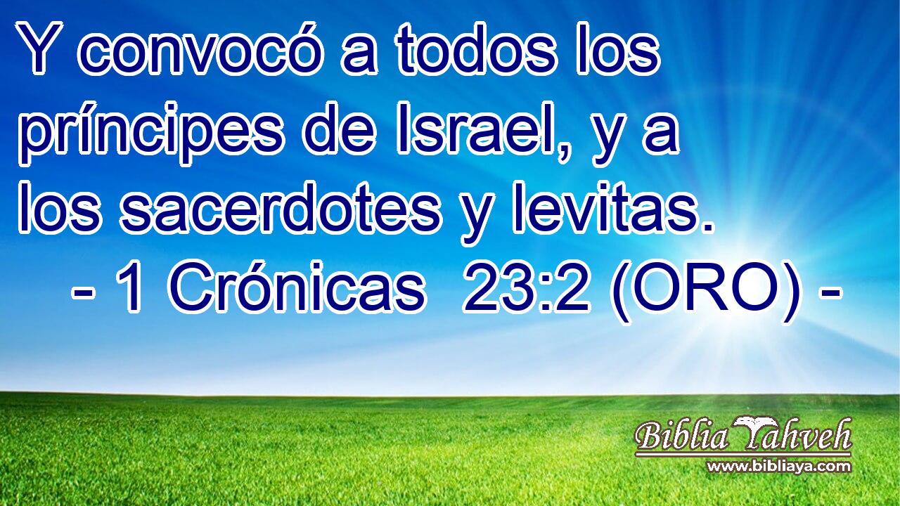  Y convocó a todos los príncipes de Israel, y a los sacerdotes y levitas. 