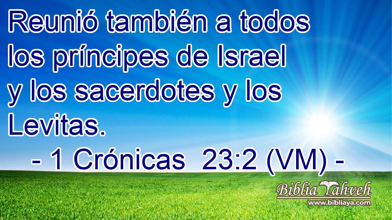  Reunió también a todos los príncipes de Israel y los sacerdotes y los Levitas. 