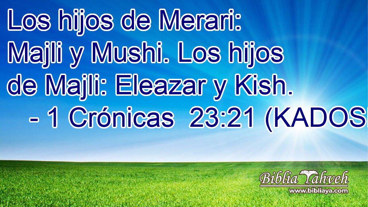  Los hijos de Merari: Majli y Mushi. Los hijos de Majli: Eleazar y Kish. 