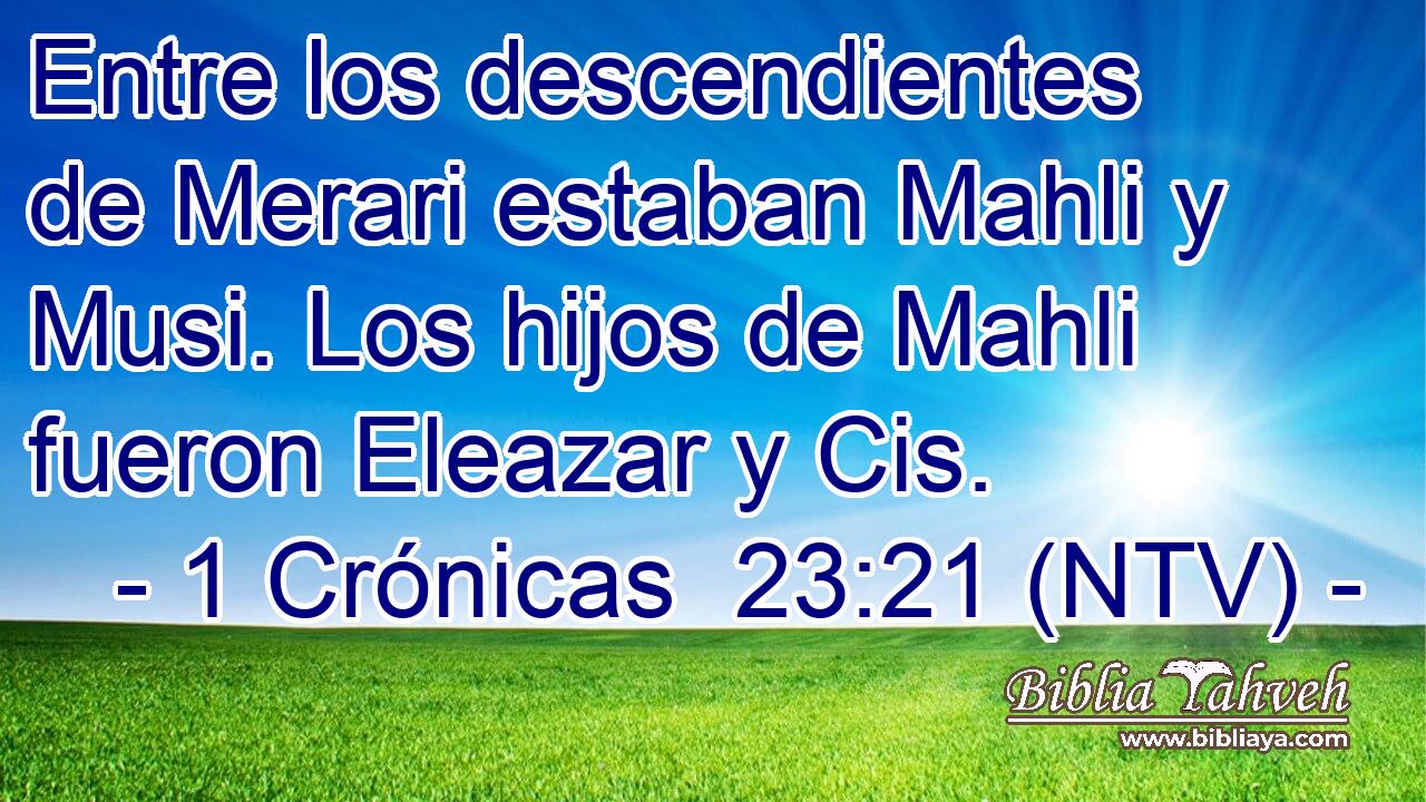 Entre los descendientes de Merari estaban Mahli y Musi. Los hijos de Mahli fueron Eleazar y Cis.