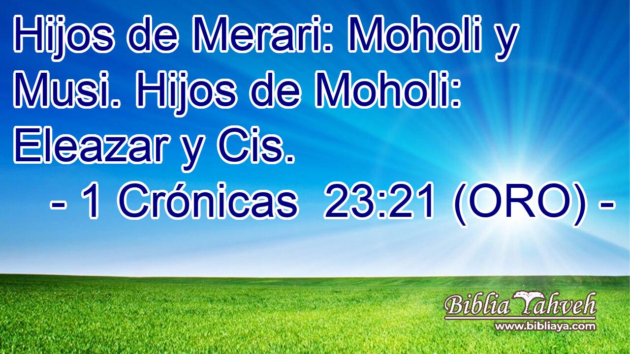  Hijos de Merari: Moholi y Musi. Hijos de Moholi: Eleazar y Cis. 
