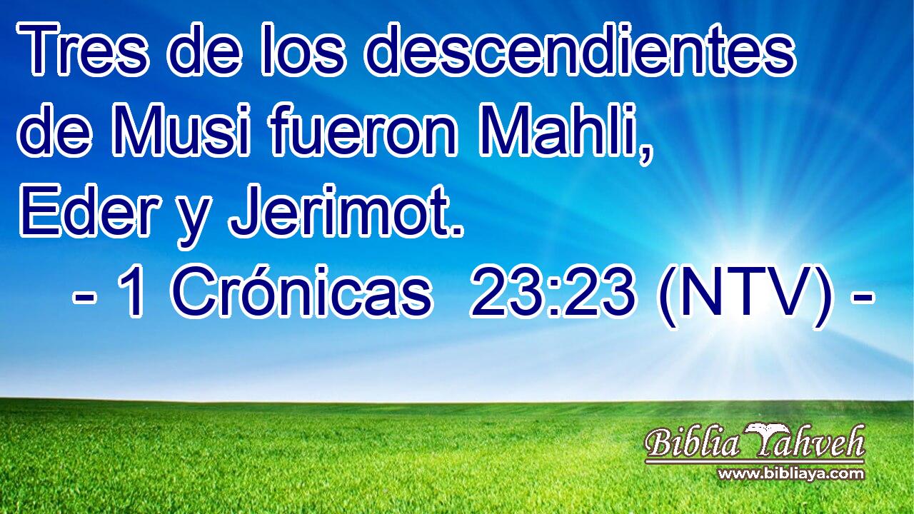 Tres de los descendientes de Musi fueron Mahli, Eder y Jerimot.