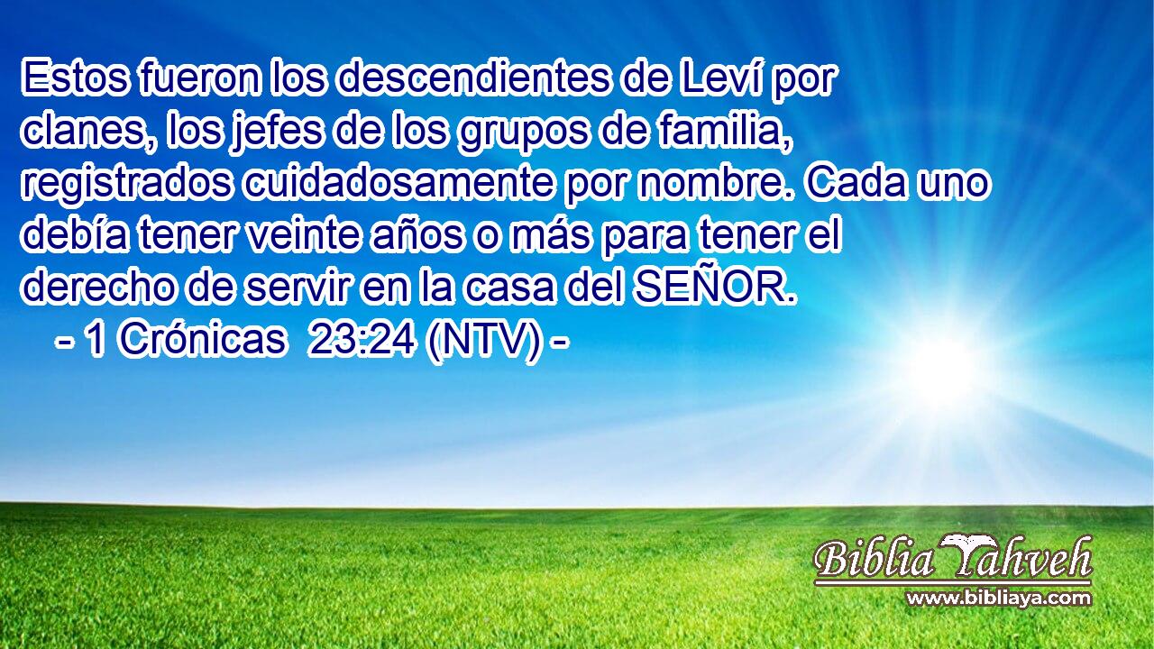 Estos fueron los descendientes de Leví por clanes, los jefes de los grupos de familia, registrados cuidadosamente por nombre. Cada uno debía tener veinte años o más para tener el derecho de servir en la casa del SEÑOR.