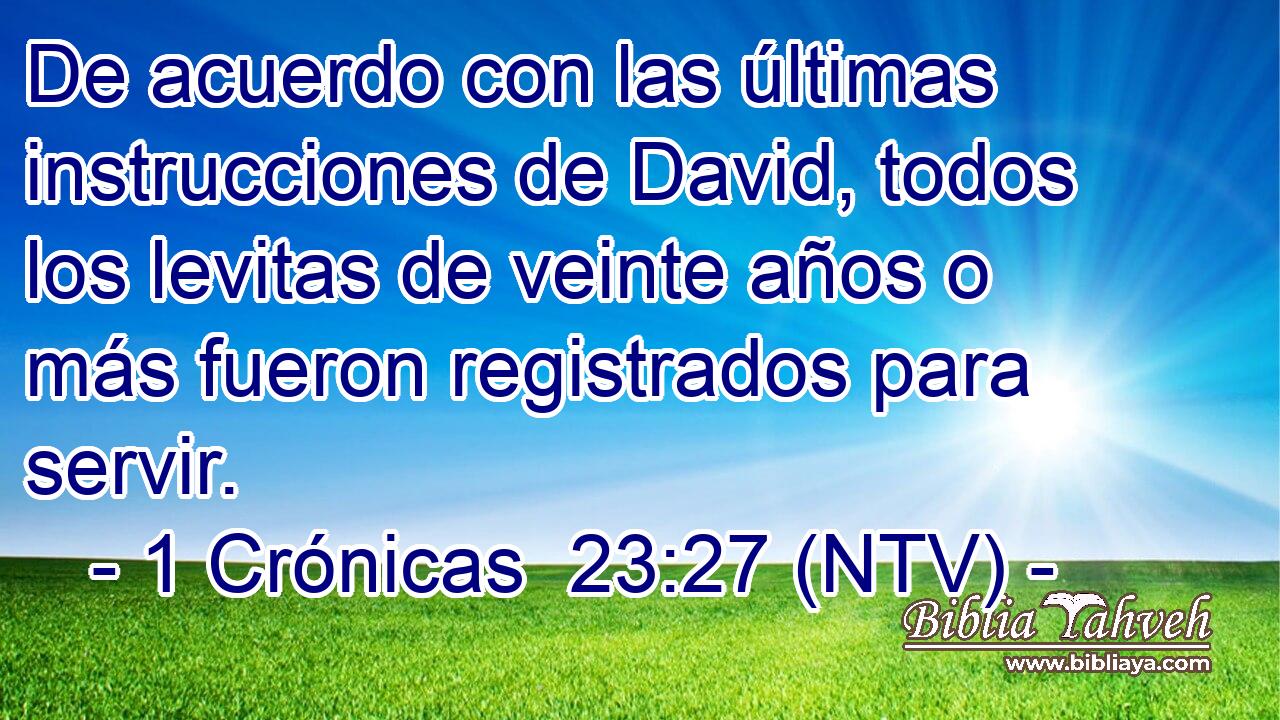 De acuerdo con las últimas instrucciones de David, todos los levitas de veinte años o más fueron registrados para servir.