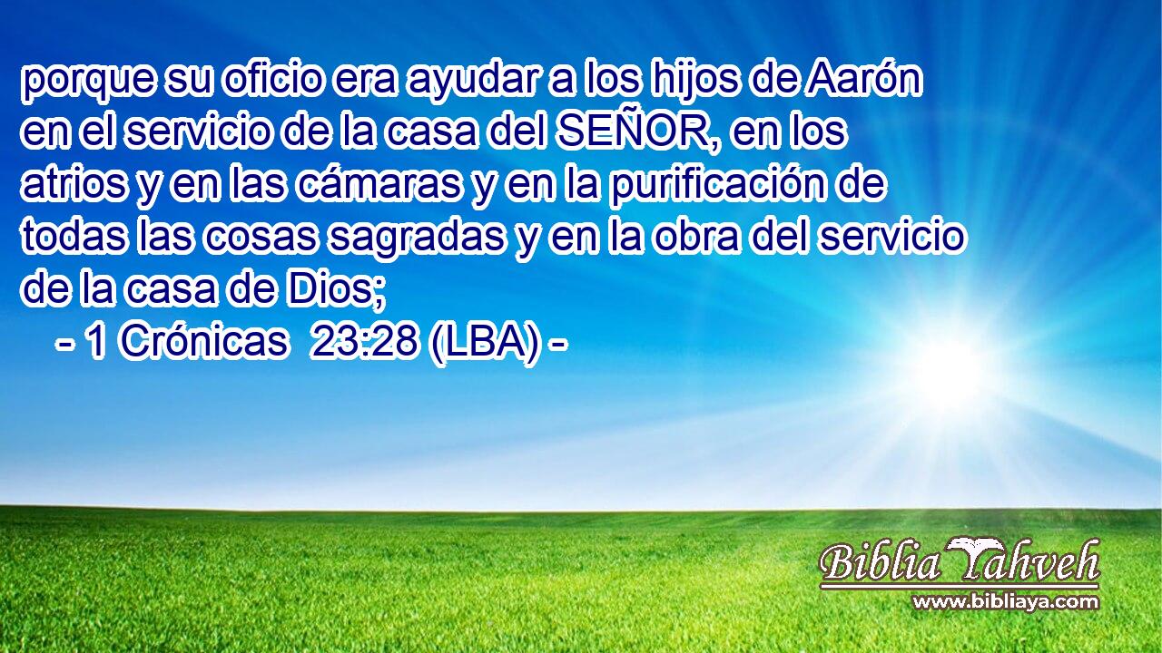 porque su oficio era ayudar a los hijos de Aarón en el servicio de la casa del SEÑOR, en los atrios y en las cámaras y en la purificación de todas las cosas sagradas y en la obra del servicio de la casa de Dios;