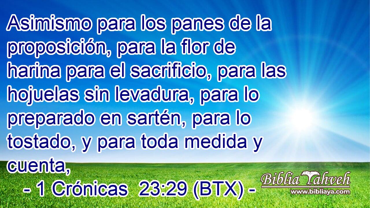 Asimismo para los panes de la proposición, para la flor de harina para el sacrificio, para las hojuelas sin levadura, para lo preparado en sartén, para lo tostado, y para toda medida y cuenta,