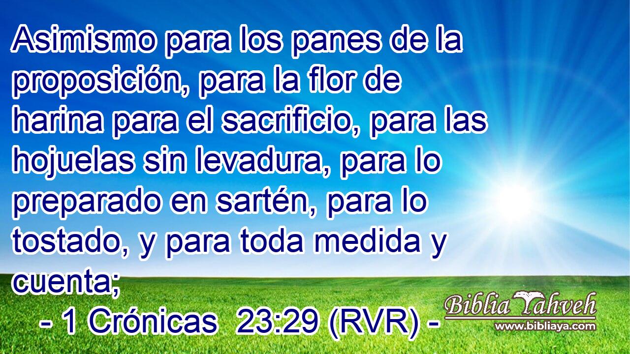 Asimismo para los panes de la proposición, para la flor de harina para el sacrificio, para las hojuelas sin levadura, para lo preparado en sartén, para lo tostado, y para toda medida y cuenta;