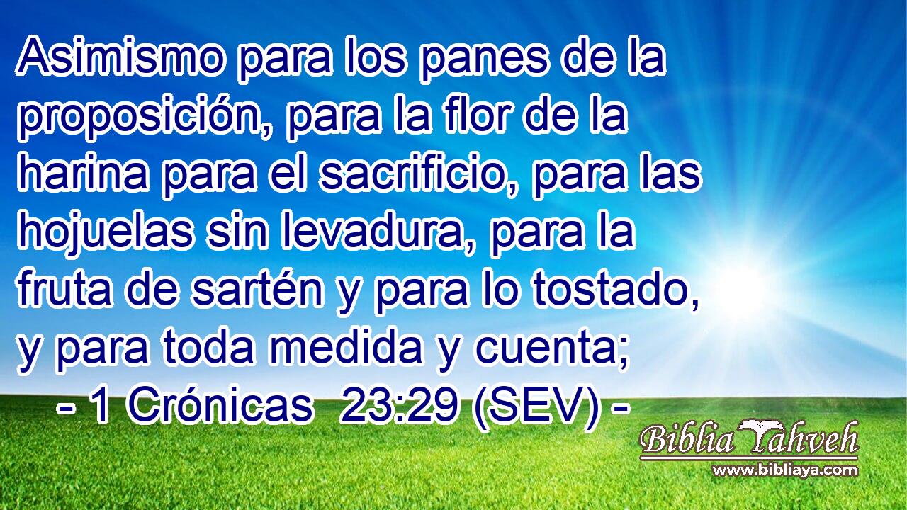 Asimismo para los panes de la proposición, para la flor de la harina para el sacrificio, para las hojuelas sin levadura, para la fruta de sartén y para lo tostado, y para toda medida y cuenta;