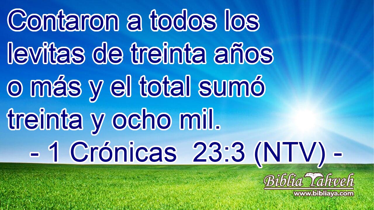Contaron a todos los levitas de treinta años o más y el total sumó treinta y ocho mil.