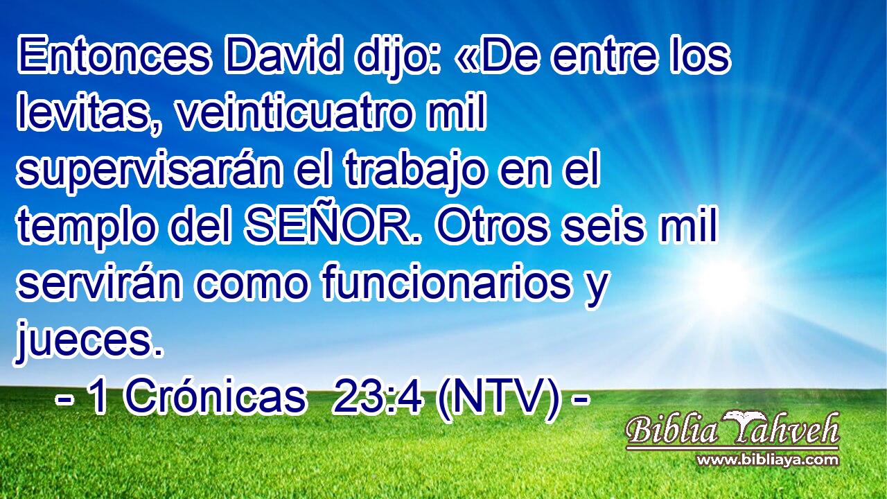 Entonces David dijo: «De entre los levitas, veinticuatro mil supervisarán el trabajo en el templo del SEÑOR. Otros seis mil servirán como funcionarios y jueces.