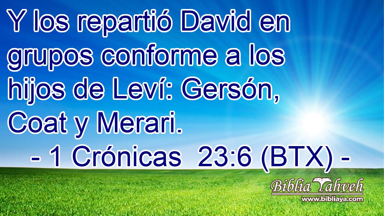 Y los repartió David en grupos conforme a los hijos de Leví: Gersón, Coat y Merari.