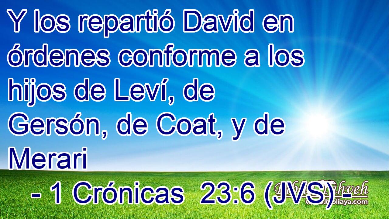 Y los repartió David en órdenes conforme a los hijos de Leví, de Gersón, de Coat, y de Merari