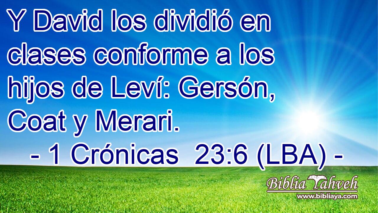 Y David los dividió en clases conforme a los hijos de Leví: Gersón, Coat y Merari.