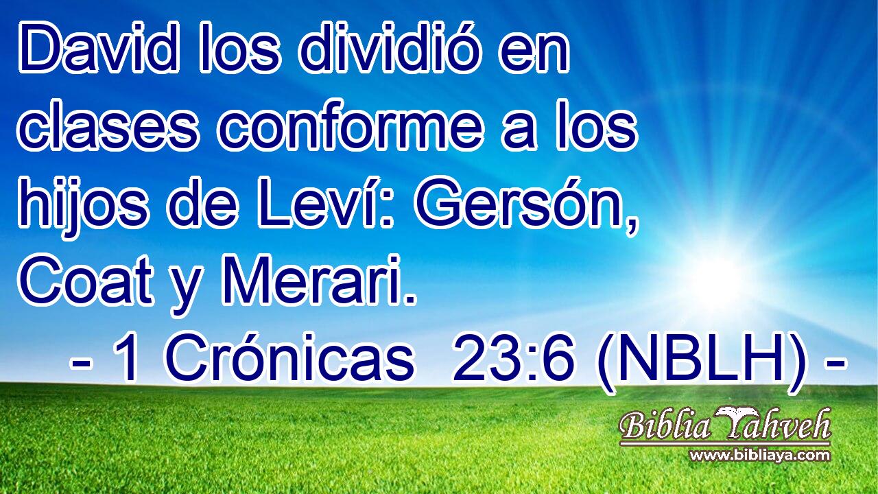  David los dividió en clases conforme a los hijos de Leví: Gersón, Coat y Merari. 