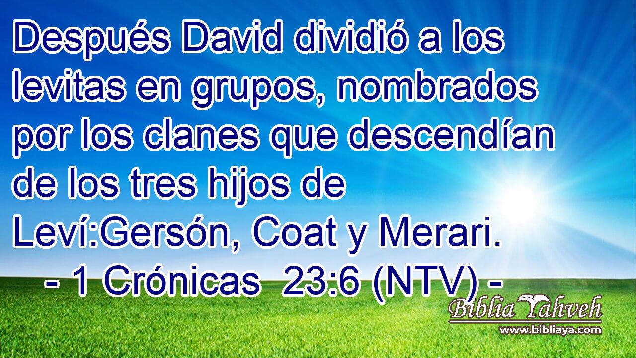 Después David dividió a los levitas en grupos, nombrados por los clanes que descendían de los tres hijos de Leví:Gersón, Coat y Merari.