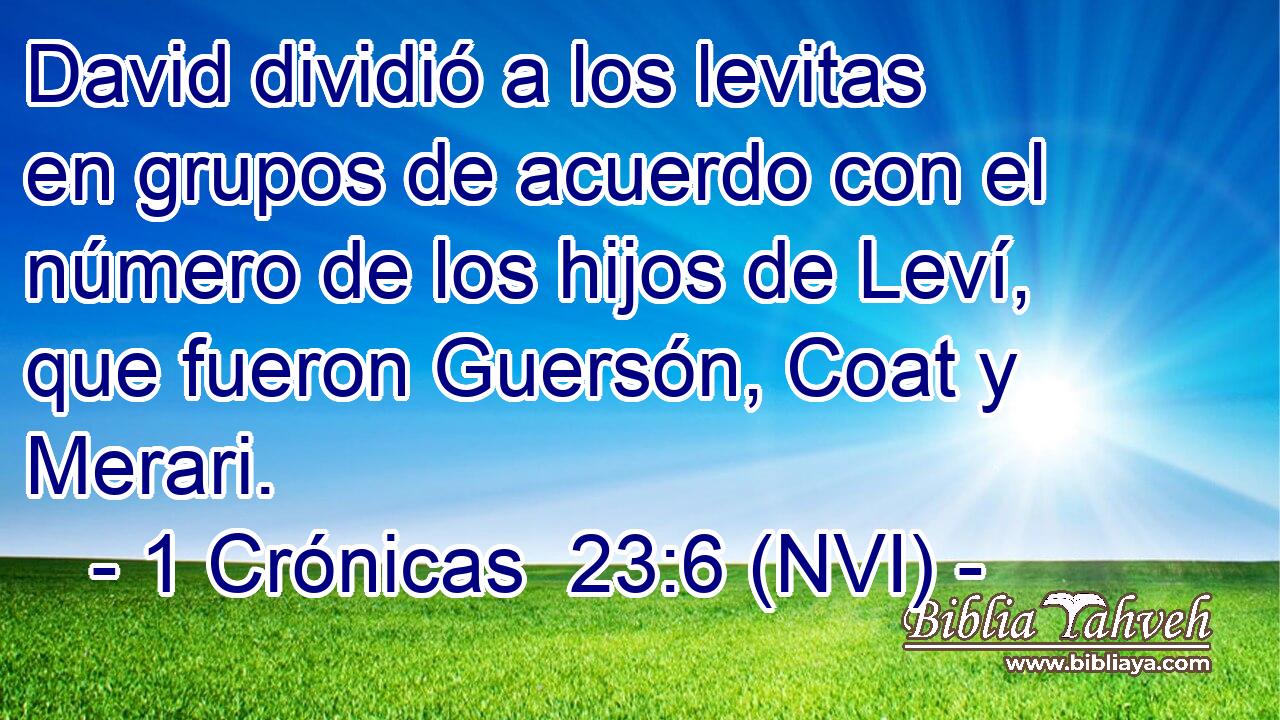  David dividió a los levitas en grupos de acuerdo con el número de los hijos de Leví, que fueron Guersón, Coat y Merari. 