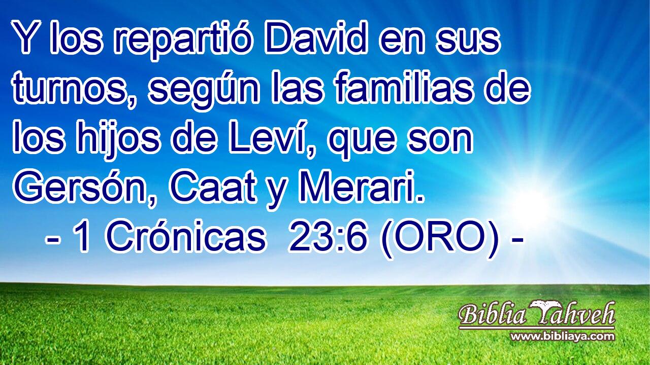  Y los repartió David en sus turnos, según las familias de los hijos de Leví, que son Gersón, Caat y Merari. 