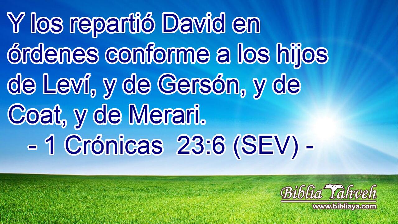 Y los repartió David en órdenes conforme a los hijos de Leví, y de Gersón, y de Coat, y de Merari.