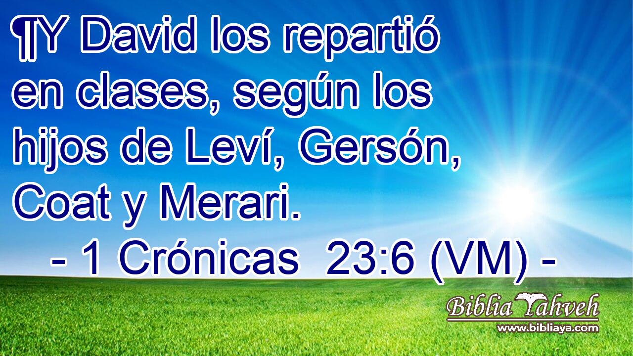  ¶Y David los repartió en clases, según los hijos de Leví, Gersón, Coat y Merari. 