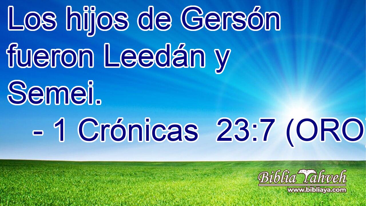  Los hijos de Gersón fueron Leedán y Semei. 