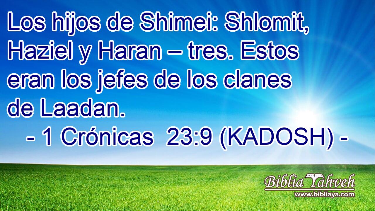  Los hijos de Shimei: Shlomit, Haziel y Haran – tres. Estos eran los jefes de los clanes de Laadan. 