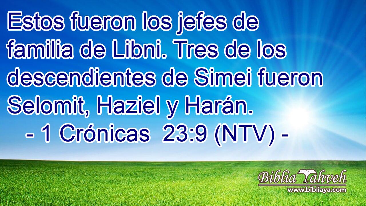 Estos fueron los jefes de familia de Libni. Tres de los descendientes de Simei fueron Selomit, Haziel y Harán.