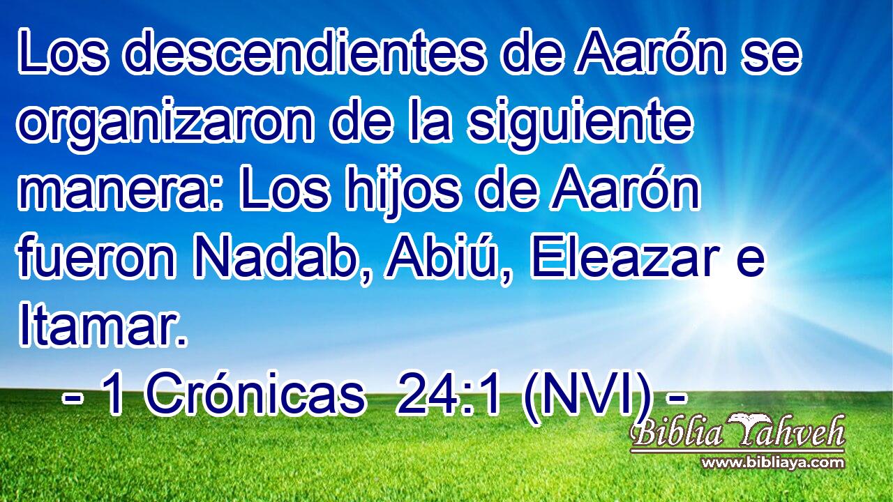  Los descendientes de Aarón se organizaron de la siguiente manera: Los hijos de Aarón fueron Nadab, Abiú, Eleazar e Itamar. 