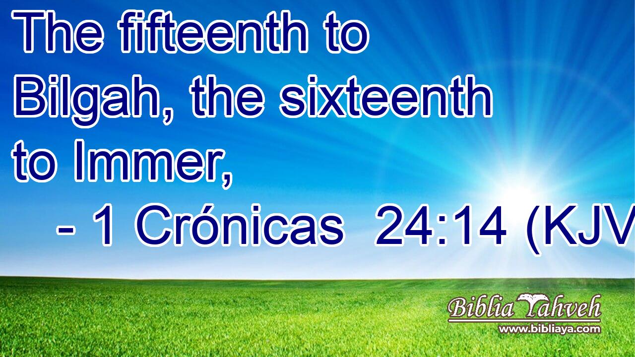 The fifteenth to Bilgah, the sixteenth to Immer,
