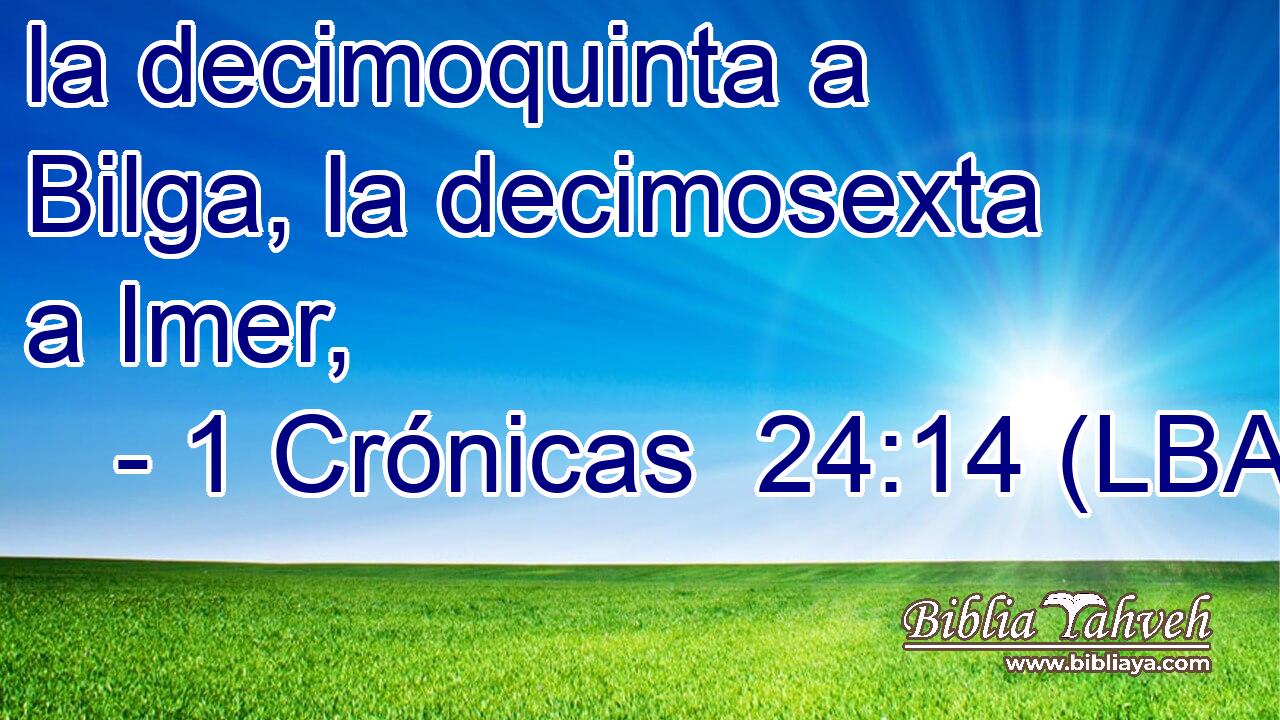 la decimoquinta a Bilga, la decimosexta a Imer,