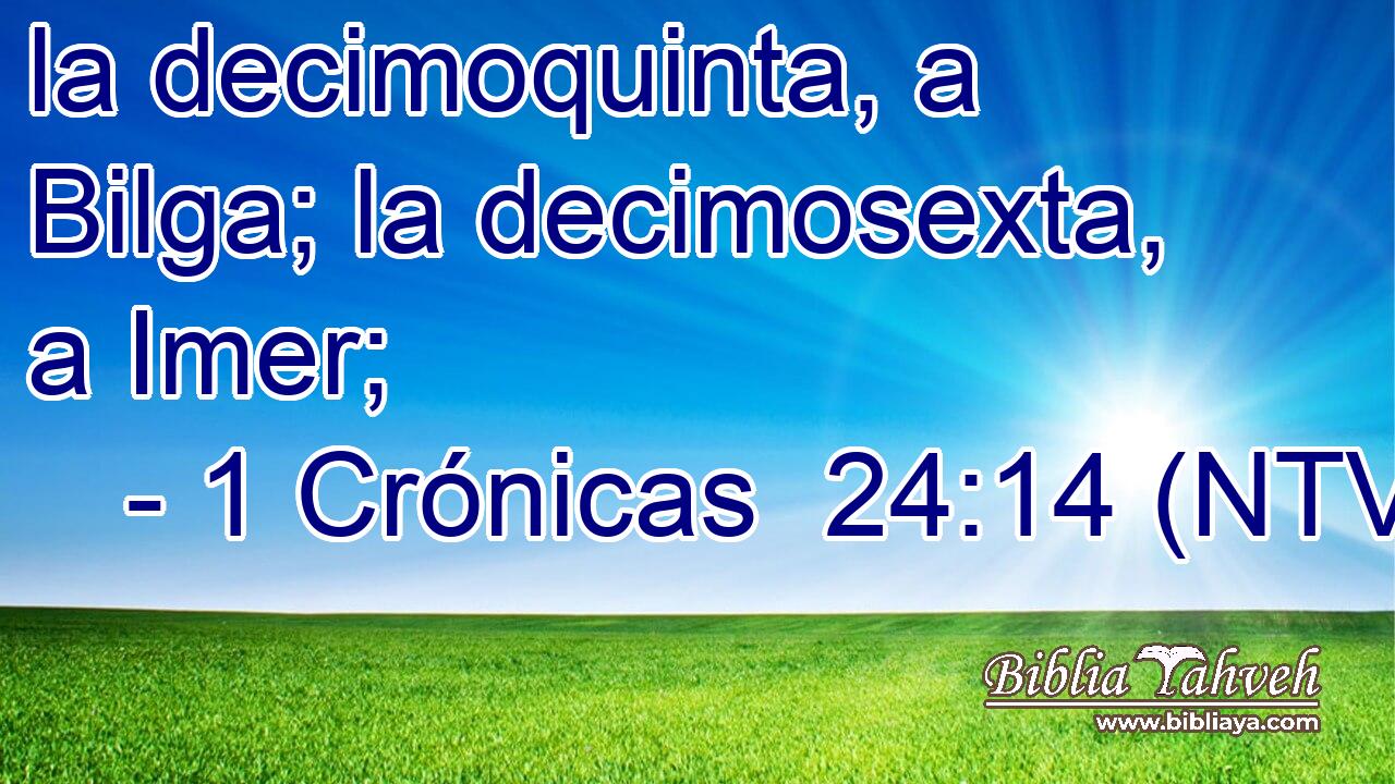 la decimoquinta, a Bilga; la decimosexta, a Imer;