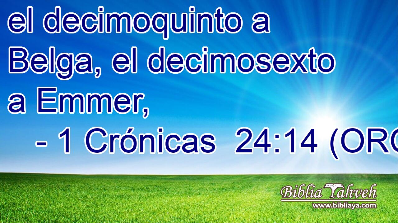  el decimoquinto a Belga, el decimosexto a Emmer, 