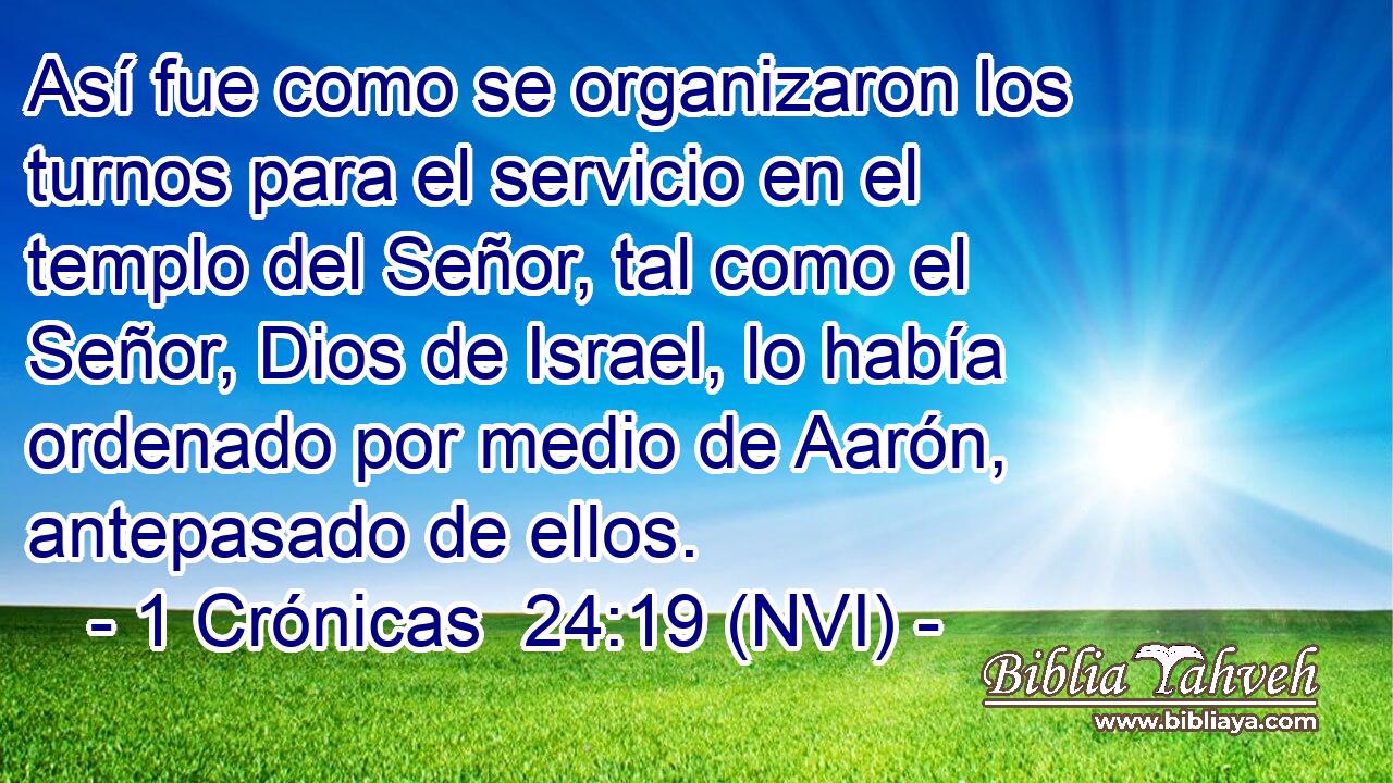  Así fue como se organizaron los turnos para el servicio en el templo del Señor, tal como el Señor, Dios de Israel, lo había ordenado por medio de Aarón, antepasado de ellos. 