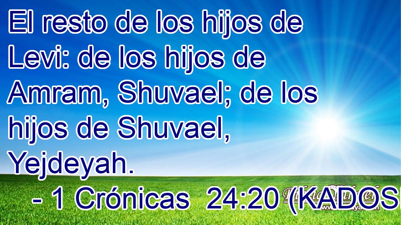  El resto de los hijos de Levi: de los hijos de Amram, Shuvael; de los hijos de Shuvael, Yejdeyah. 