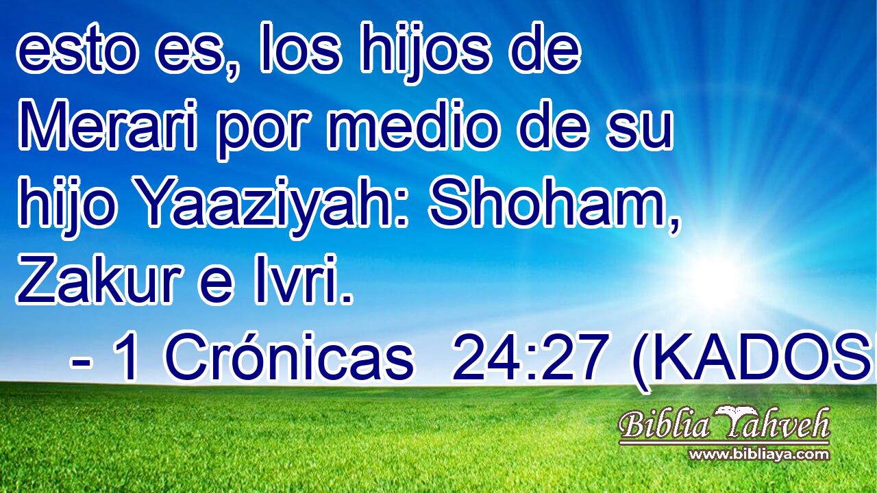  esto es, los hijos de Merari por medio de su hijo Yaaziyah: Shoham, Zakur e Ivri. 
