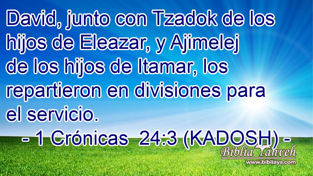  David, junto con Tzadok de los hijos de Eleazar, y Ajimelej de los hijos de Itamar, los repartieron en divisiones para el servicio. 