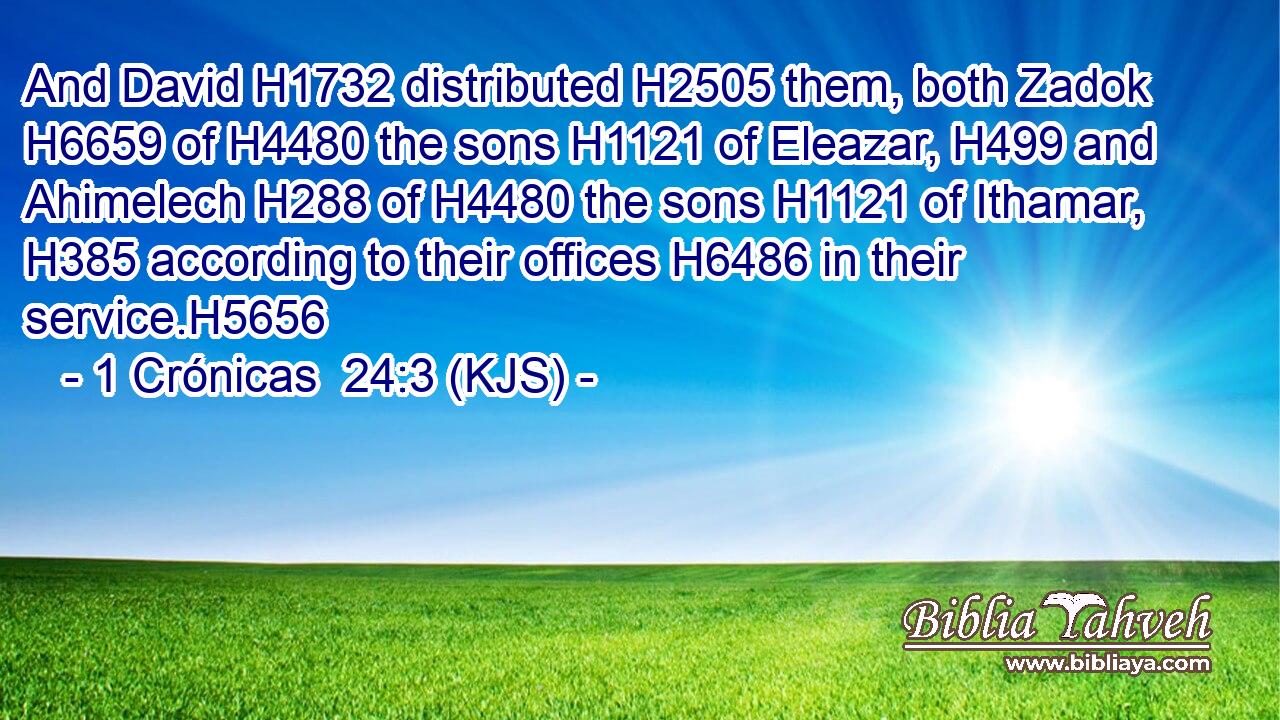 And David H1732 distributed H2505 them, both Zadok H6659 of H4480 the sons H1121 of Eleazar, H499 and Ahimelech H288 of H4480 the sons H1121 of Ithamar, H385 according to their offices H6486 in their service.H5656