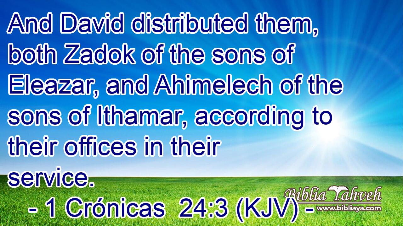 And David distributed them, both Zadok of the sons of Eleazar, and Ahimelech of the sons of Ithamar, according to their offices in their service.