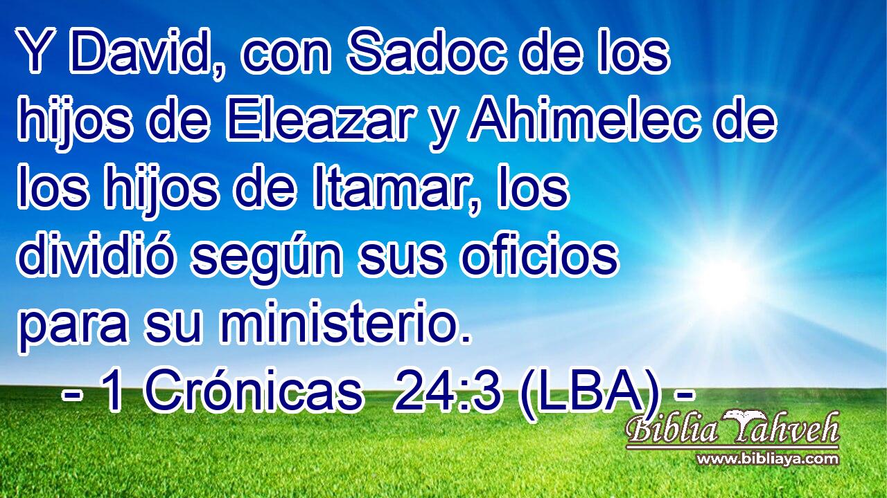 Y David, con Sadoc de los hijos de Eleazar y Ahimelec de los hijos de Itamar, los dividió según sus oficios para su ministerio.