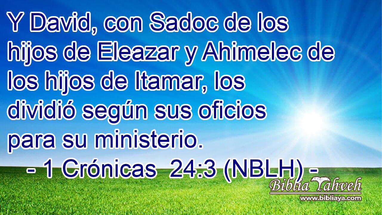  Y David, con Sadoc de los hijos de Eleazar y Ahimelec de los hijos de Itamar, los dividió según sus oficios para su ministerio. 