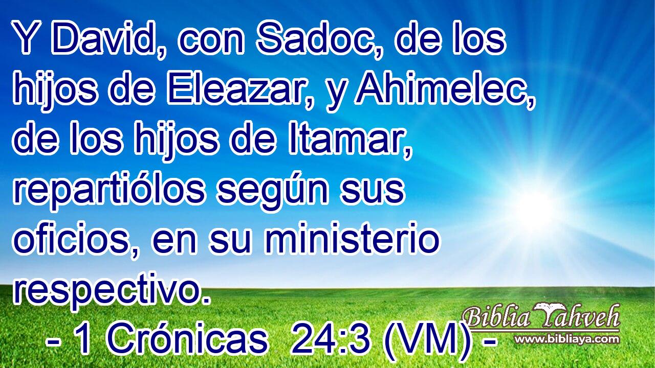 Y David, con Sadoc, de los hijos de Eleazar, y Ahimelec, de los hijos de Itamar, repartiólos según sus oficios, en su ministerio respectivo. 