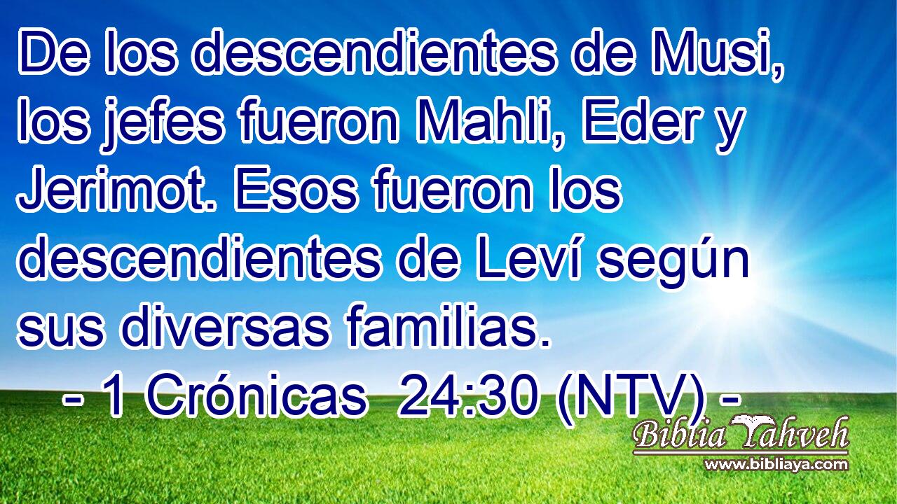 De los descendientes de Musi, los jefes fueron Mahli, Eder y Jerimot. Esos fueron los descendientes de Leví según sus diversas familias.
