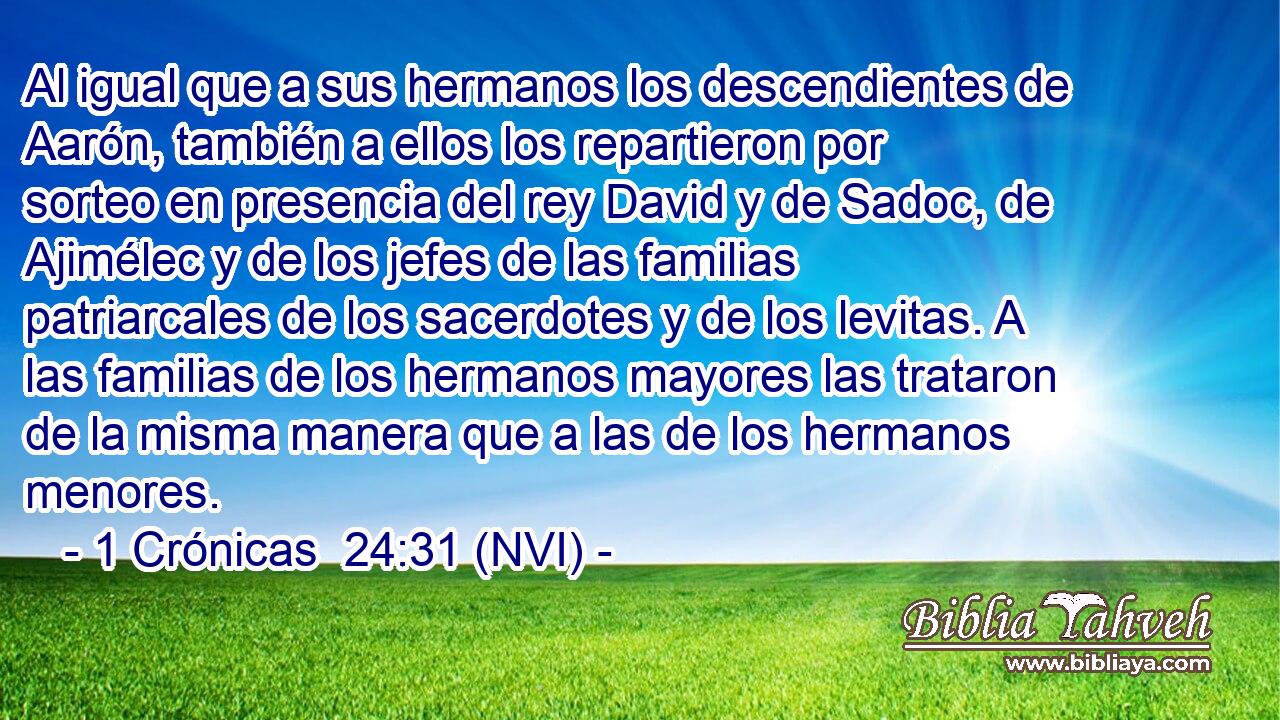  Al igual que a sus hermanos los descendientes de Aarón, también a ellos los repartieron por sorteo en presencia del rey David y de Sadoc, de Ajimélec y de los jefes de las familias patriarcales de los sacerdotes y de los levitas. A las familias de los hermanos mayores las trataron de la misma manera que a las de los hermanos menores. 