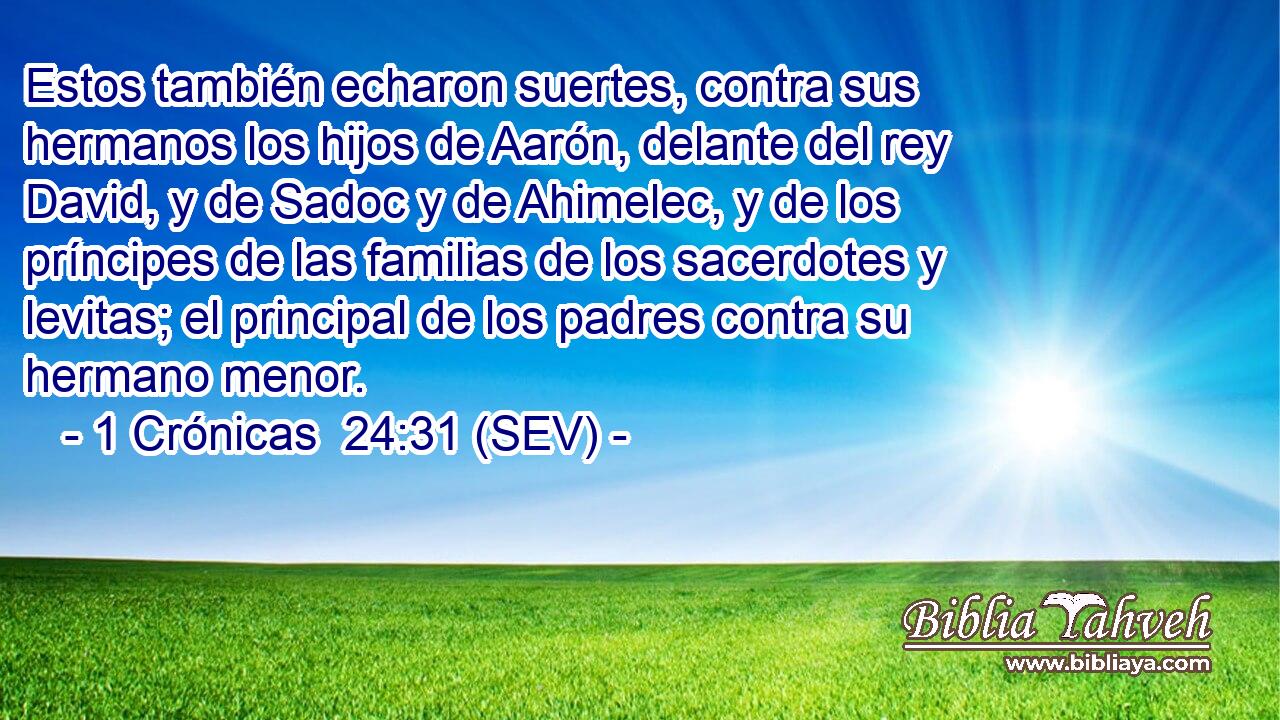 Estos también echaron suertes, contra sus hermanos los hijos de Aarón, delante del rey David, y de Sadoc y de Ahimelec, y de los príncipes de las familias de los sacerdotes y levitas; el principal de los padres contra su hermano menor.