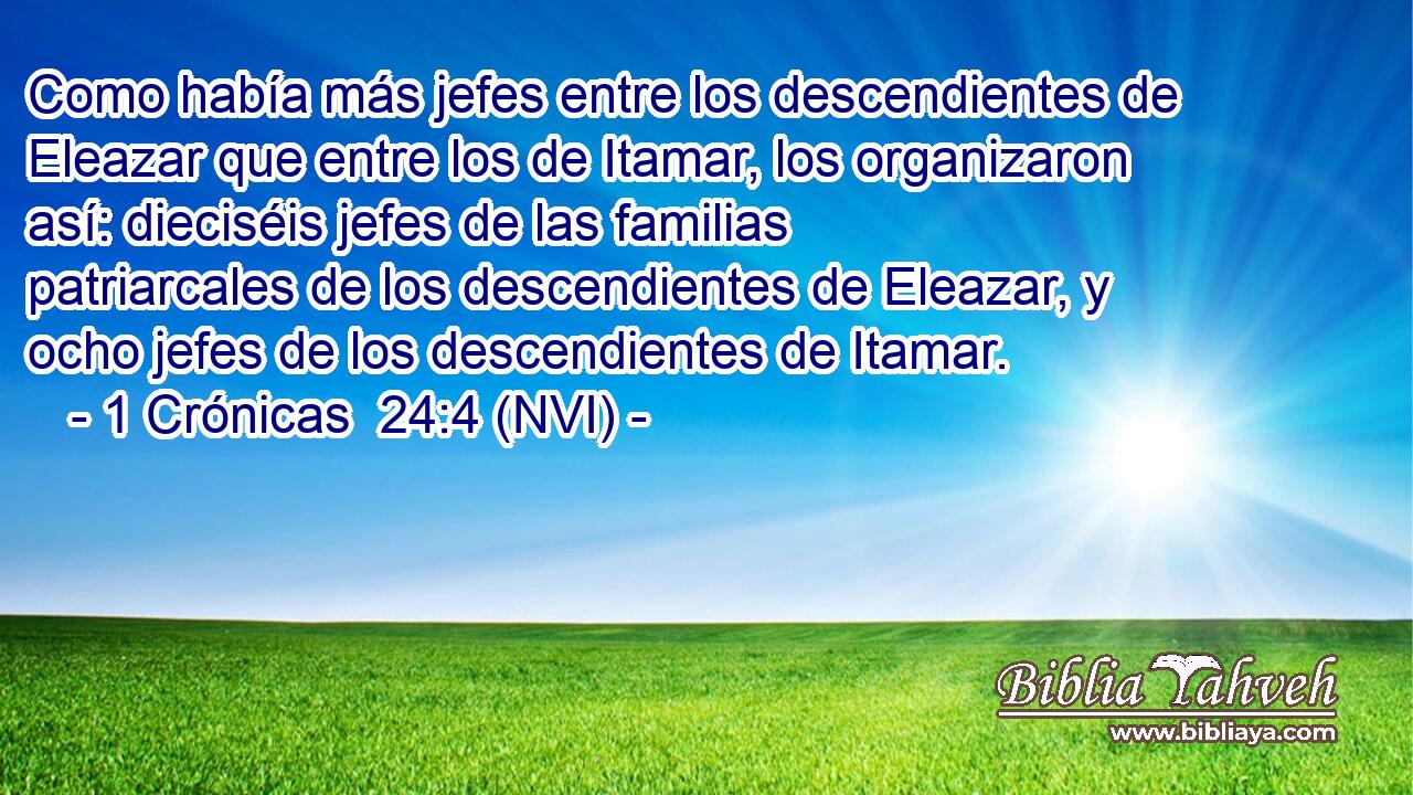  Como había más jefes entre los descendientes de Eleazar que entre los de Itamar, los organizaron así: dieciséis jefes de las familias patriarcales de los descendientes de Eleazar, y ocho jefes de los descendientes de Itamar. 